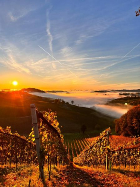 Weingut & Gästezimmer Weißenbacher